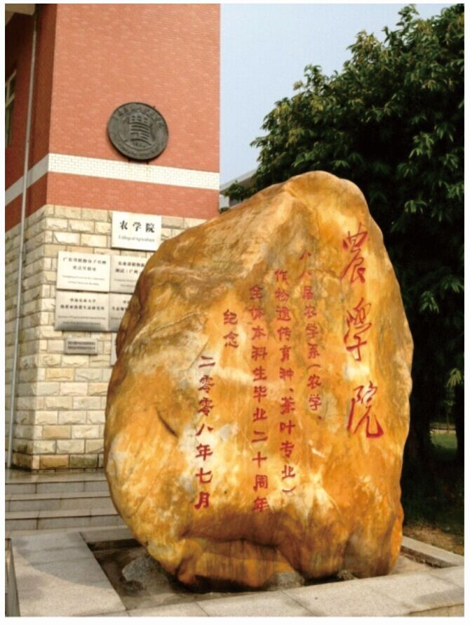 华南农业大学